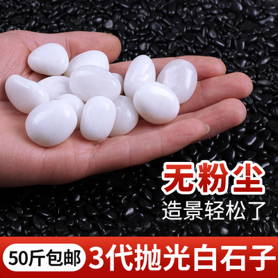 白色鹅卵石鱼缸装饰造景石头庭院景观阳台铺地精抛光小白石子
