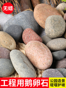 天然鹅卵石公园花坛围边超大号鹅卵石河流石河堤护坡用原石大石头