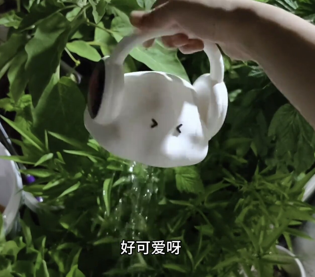 3D打印戏水洗澡喷水男孩男女玩具小孩宝宝沐浴婴儿儿童浇水桶