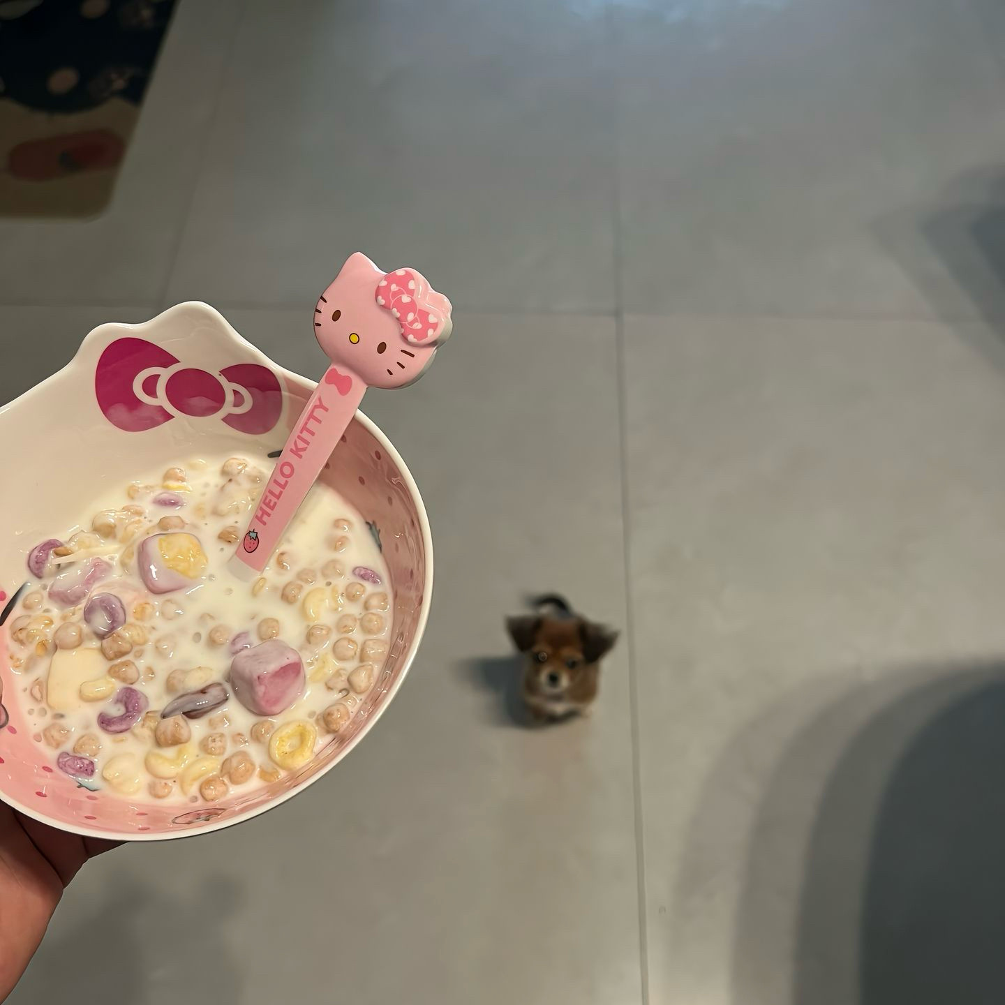 2026可爱饭碗勺耐摔防烫婴儿辅食碗新款小猫餐具儿童学生