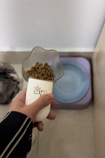 猫粮勺子新款可爱兔子饭勺简约便携式定量取米卡通2026勺子