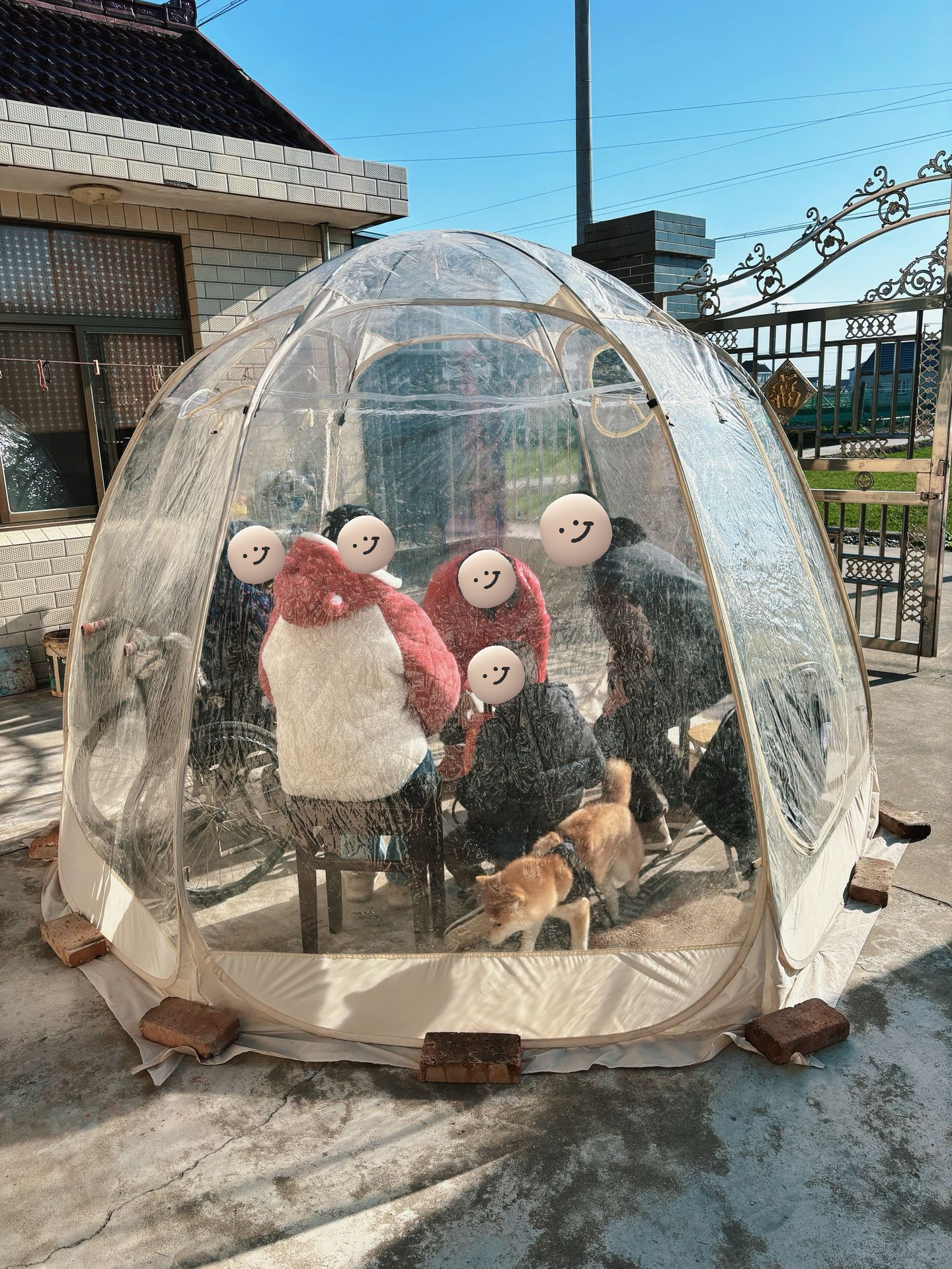 透明阳光帐篷新款秋冬季晒太阳便携式可折叠收纳旅行户外露营专用