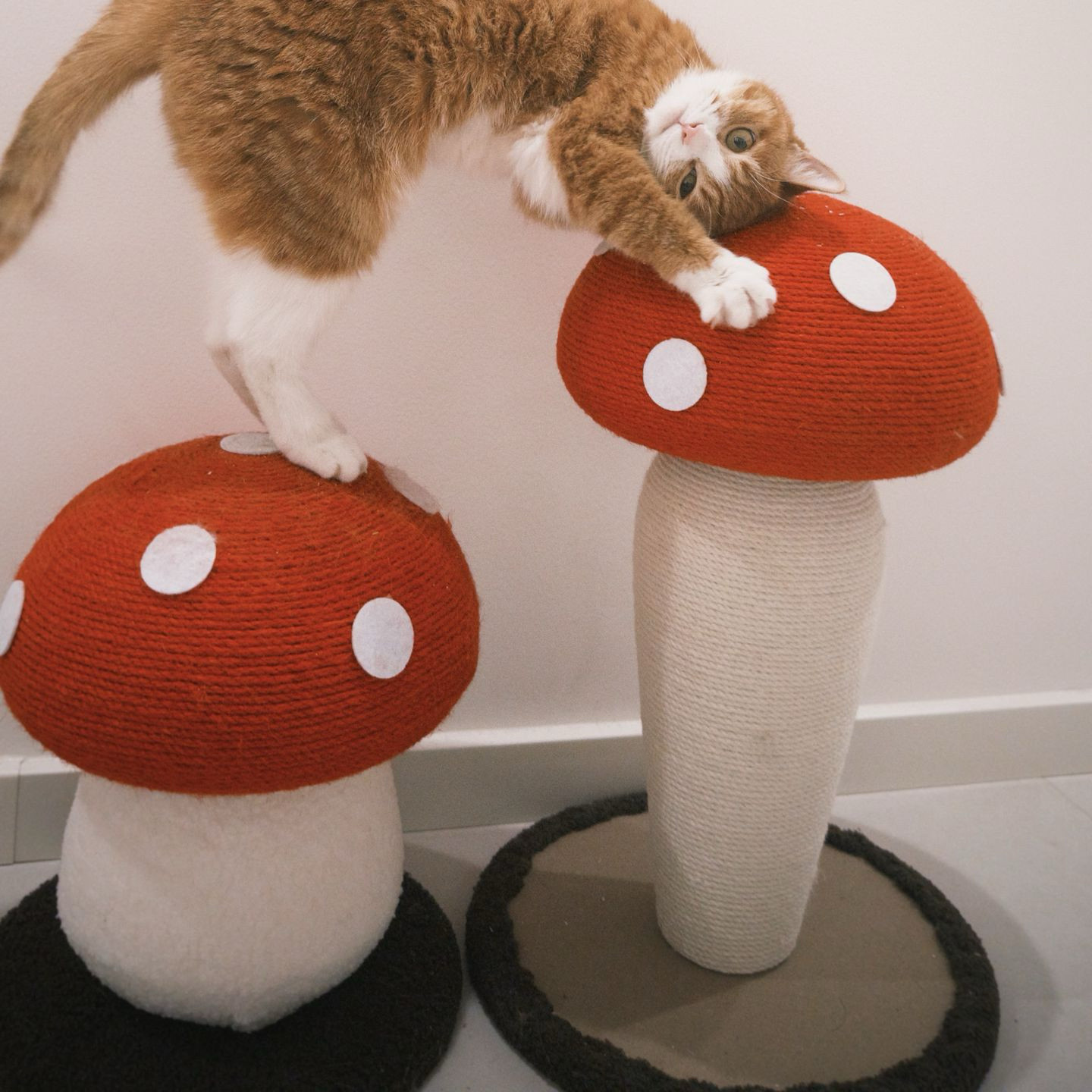 可爱卡通小蘑菇猫抓板爬猫抓板耐磨剑麻玩具立式磨爪宠物用品