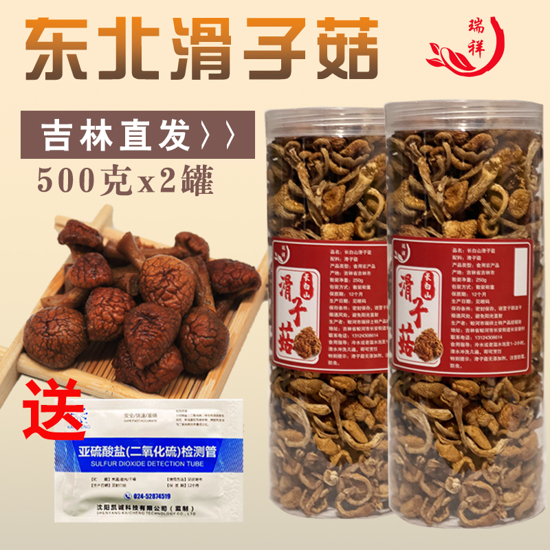 东北长白山滑子菇干滑货子蘑黄磨菌菇农家新鲜食用煲汤无硫非野生