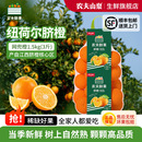 农夫山泉农夫鲜果橙子脐橙当季 新鲜水果江西网兜橙酸甜多汁好吃