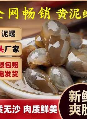 即食罐装醉泥螺个大无沙桃花泥螺 宁波舟山海鲜特产8A黄泥螺270g