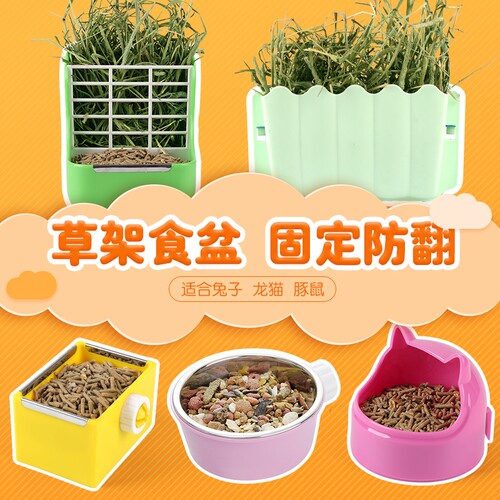 松鼠二合一外置防啃固定荷兰猪
