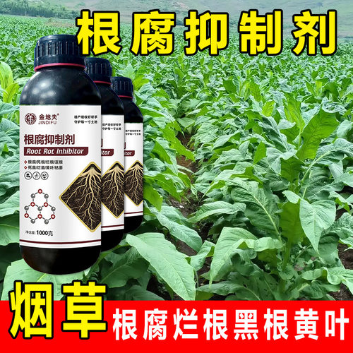 烟草根腐抑制剂防治烂根黄叶