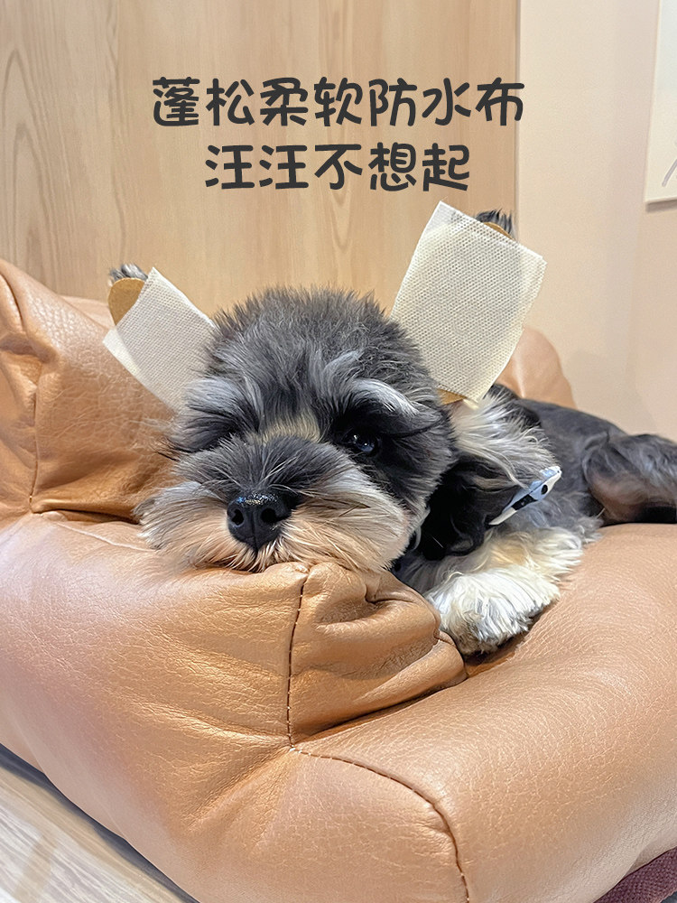 高级狗窝高颜值外贸博美犬雪纳瑞约克夏法斗小鹿犬专用狗窝沙发床