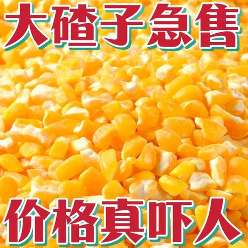 东北特产碴子笨大碴子东北农家现磨苞米杂粮新鲜非转基因玉米碴子