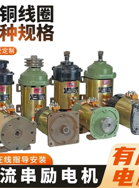 电动三轮车电机 直流串励电机24v36v48v60v72V有刷电机水电瓶电机
