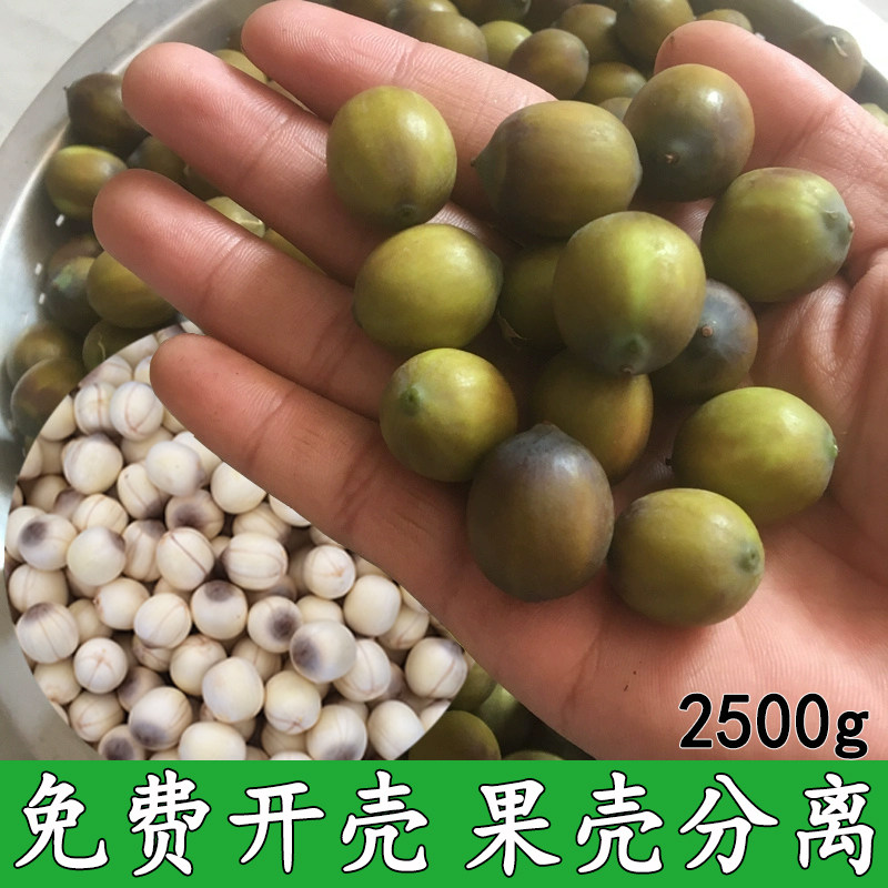 新鲜莲子米褐色香软粉糯