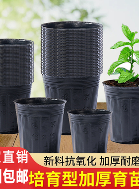 营养钵育苗盆营养杯育苗杯种植袋黑色农用抗老化简易营养袋育苗袋