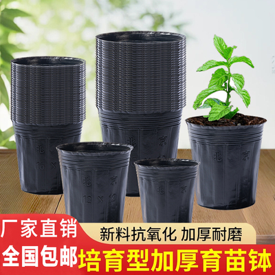 源头厂家·规格齐全高质量育苗杯