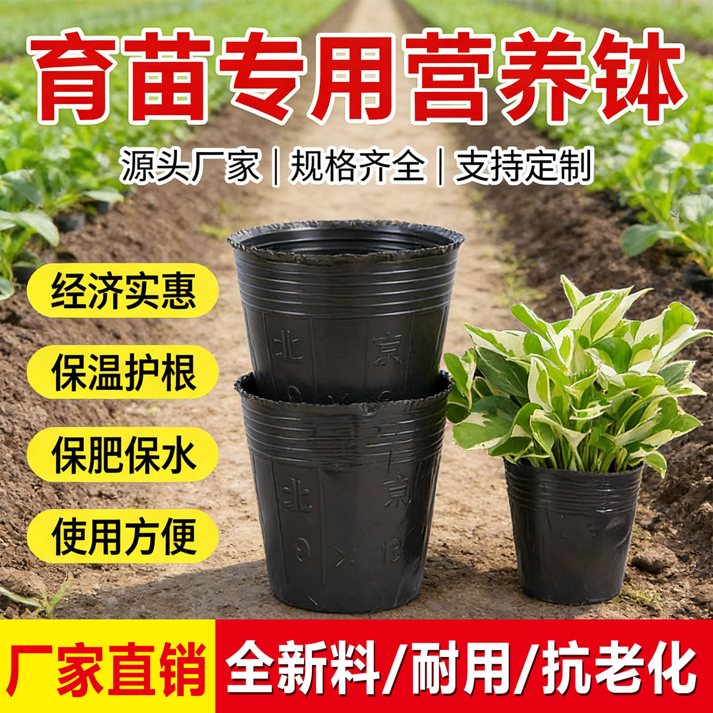 【厂家直发】全新料加厚育苗杯