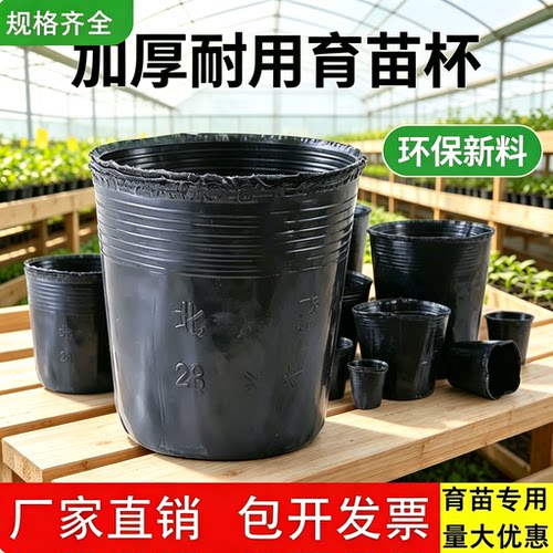 加厚抗老化黑色育苗杯营养钵