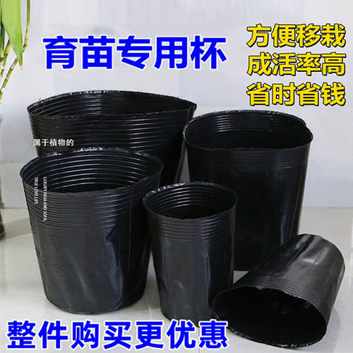 育苗盆杯育营养杯黑罩子种植盆