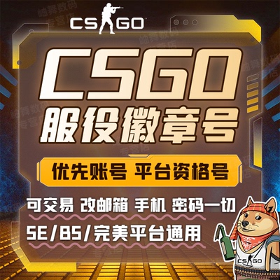 CSGO优先服役徽章号5EB5完美平台