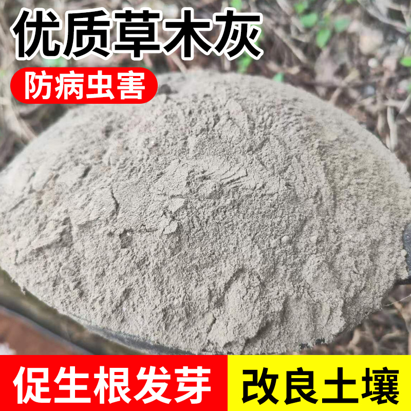 现烧草木灰改善土壤防虫杀菌