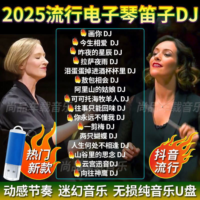 电子琴DJ纯音乐汽车载u盘重低音环绕笛子2025抖音流行无损高品质