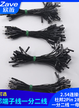 杜邦端子线 杜邦2.54连接线 杜邦2Pin 28AWG一分二线 一母转两公