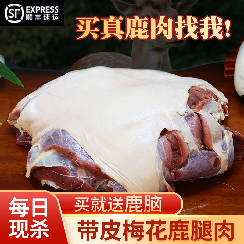 现杀新鲜鹿肉带皮腿肉