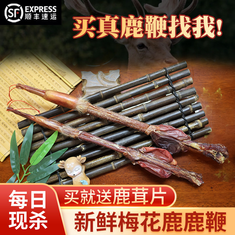 东北吉林梅花鹿干鹿鞭整枝泡酒料鞭毛一体男性滋补养生螺纹清晰