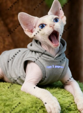 Happy & prosperous萌宠猫衣服宠物服装红色圆领灰色黑色连帽卫衣