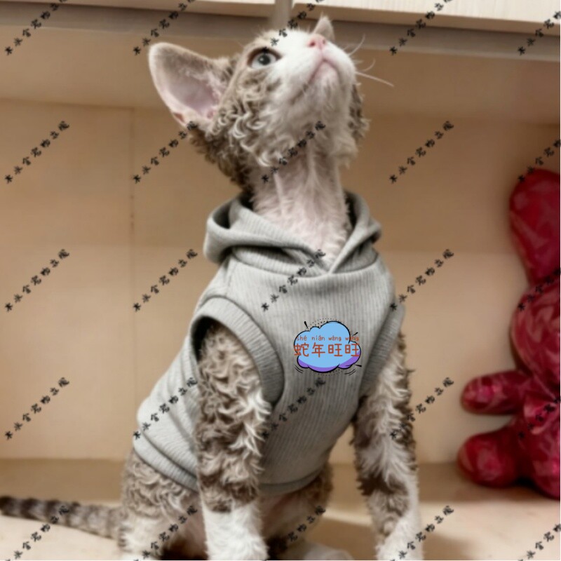 蛇年旺旺新款德文猫连帽卫衣宠物衣服萌宠秋季