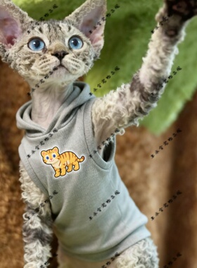 粉耳蓝眸虎两脚衣猫咪萌宠猫衣宠物红色圆领灰色黑色连帽卫衣