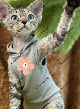 粉瓣斑花仔两脚衣猫咪萌宠猫衣宠物红色圆领灰色黑色连帽卫衣