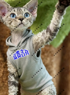 富贵吉祥两脚衣猫咪萌宠猫衣服宠物装红色圆领灰色黑色连帽卫衣
