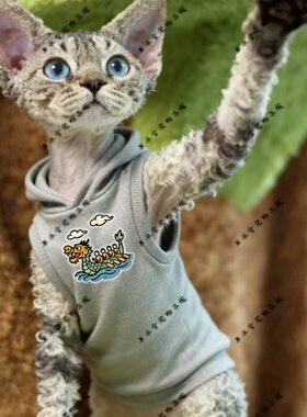 端午龙船两脚衣猫咪萌宠猫衣宠物红色圆领灰色黑色连帽卫衣