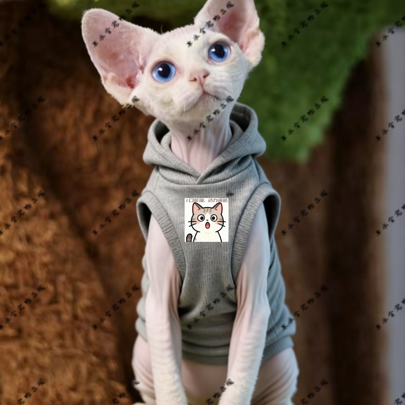 1口吸猫，活力满格新款德文猫连帽卫衣宠物衣服萌宠秋季