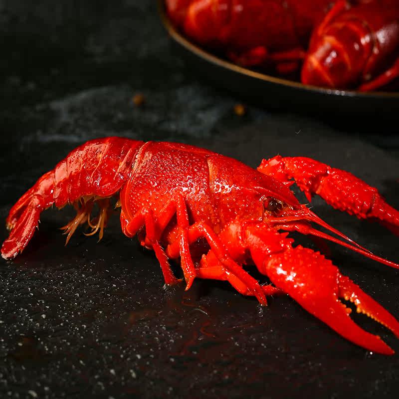 【超大号醉虾】冰镇熟醉龙虾冰醉7-9钱活虾现做即食熟食花雕味