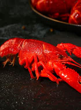 【超大号醉虾】冰镇熟醉龙虾冰醉7-9钱活虾现做即食熟食花雕味
