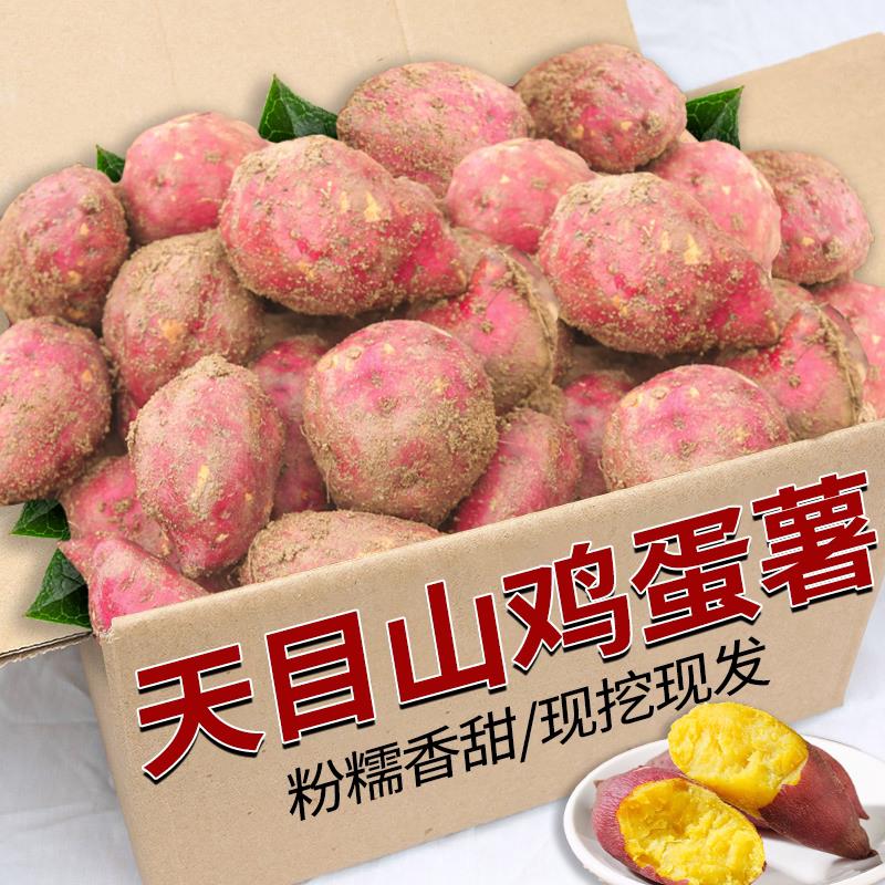 天目山鸡蛋薯黄心板栗红