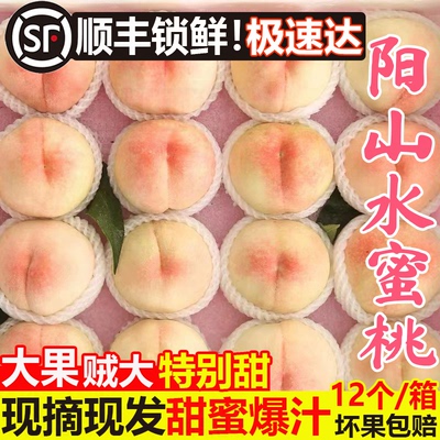 正宗江苏无锡阳山水蜜桃白凤桃子果园直发水果新鲜当季礼盒官方甜