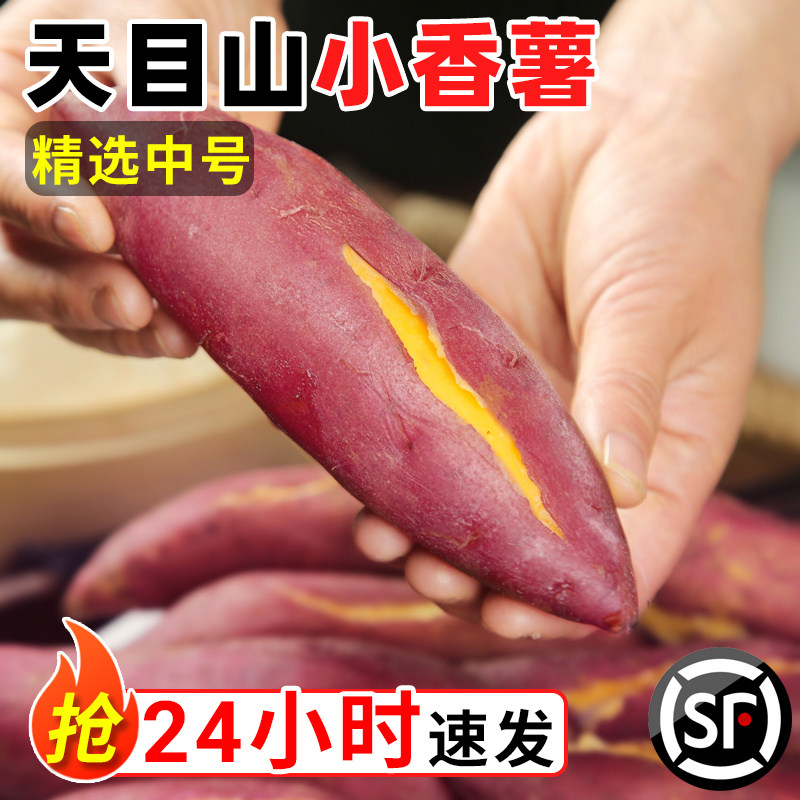 新鲜天目山小香薯现挖黄