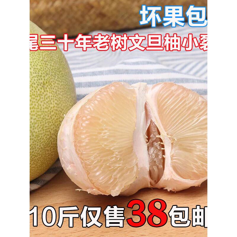 莆田仙游度尾文旦柚当季
