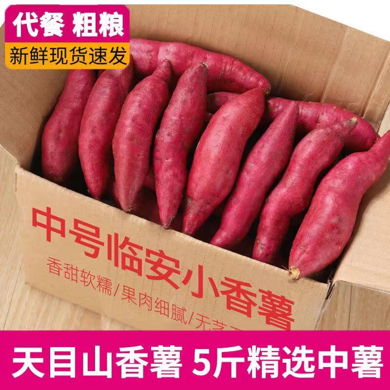 正宗杭州天目山小香薯旗
