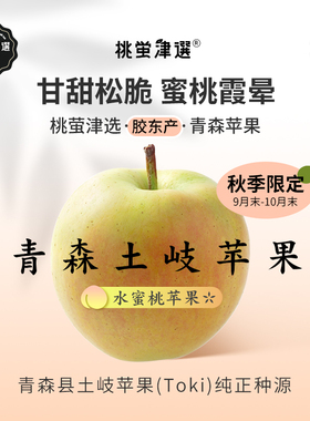 桃萤津选 青森土岐苹果 日引Toki水蜜桃青苹果 莱阳产 礼盒装 SF