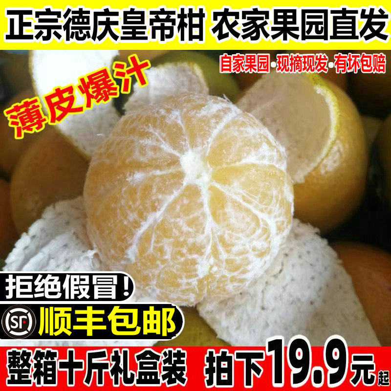 德庆农联正宗德庆皇帝柑广东当季新鲜水果砂糖纯甜橘桔丑子十斤装