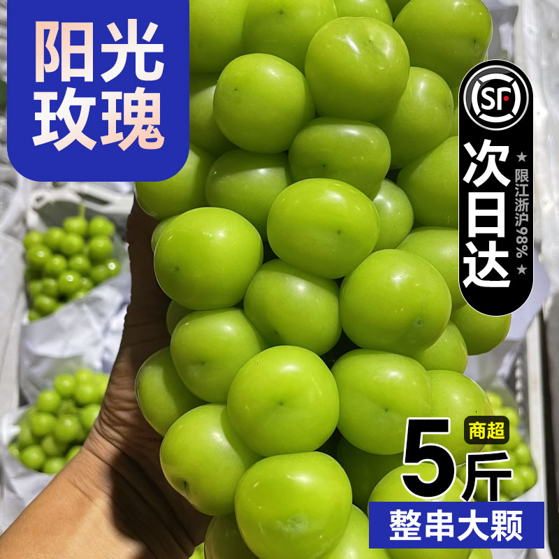 现货速发阳光玫瑰葡萄新