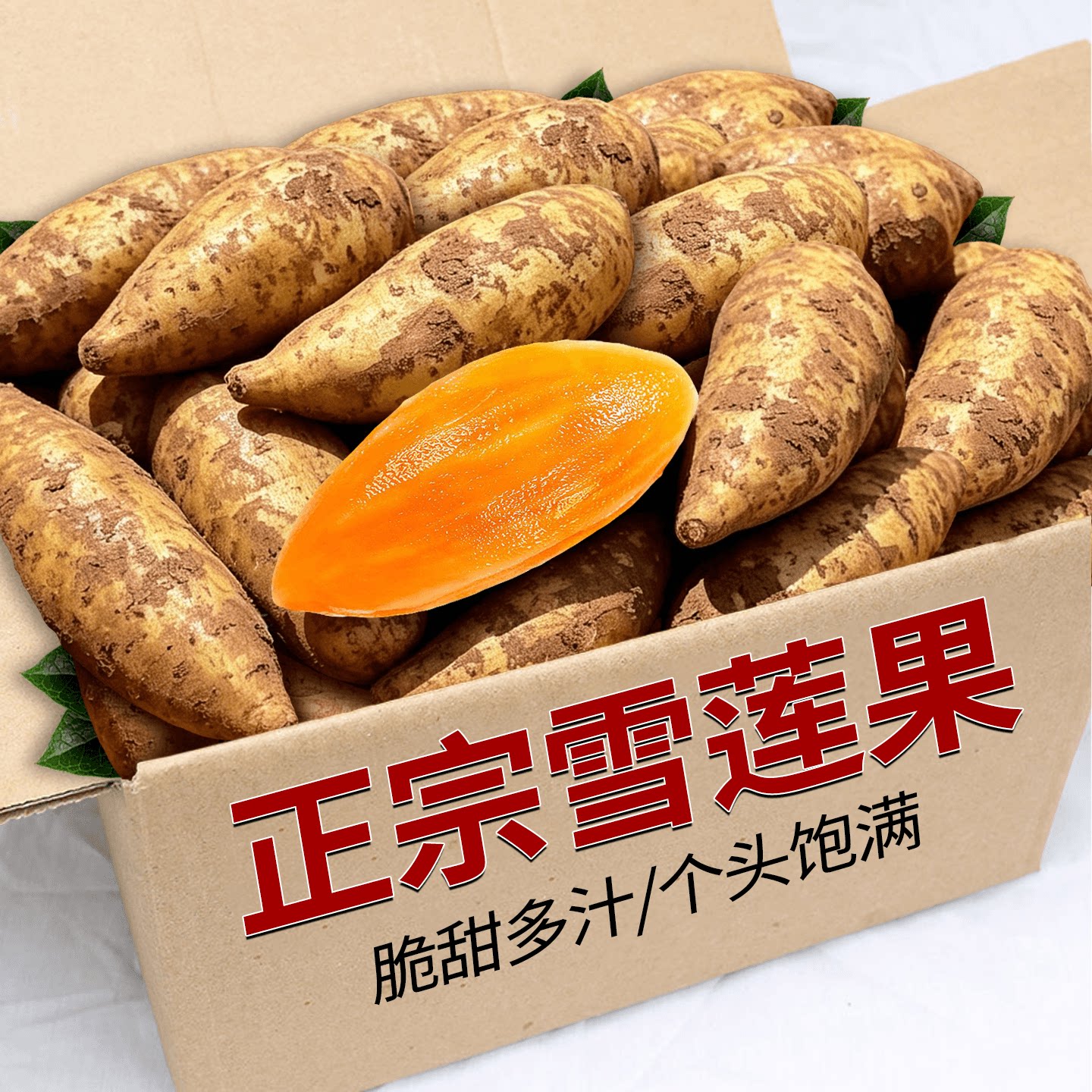 当季新鲜天山雪莲果水果