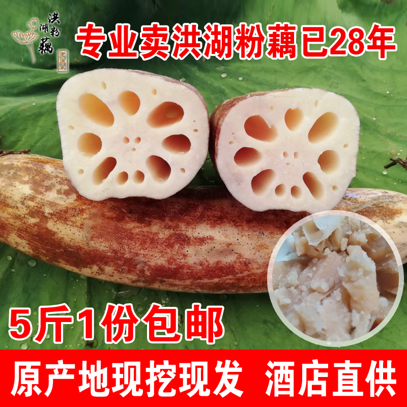 洪湖莲藕新鲜包邮老涂家湖北粉藕特产煲汤现挖九孔带泥粉糯米红藕