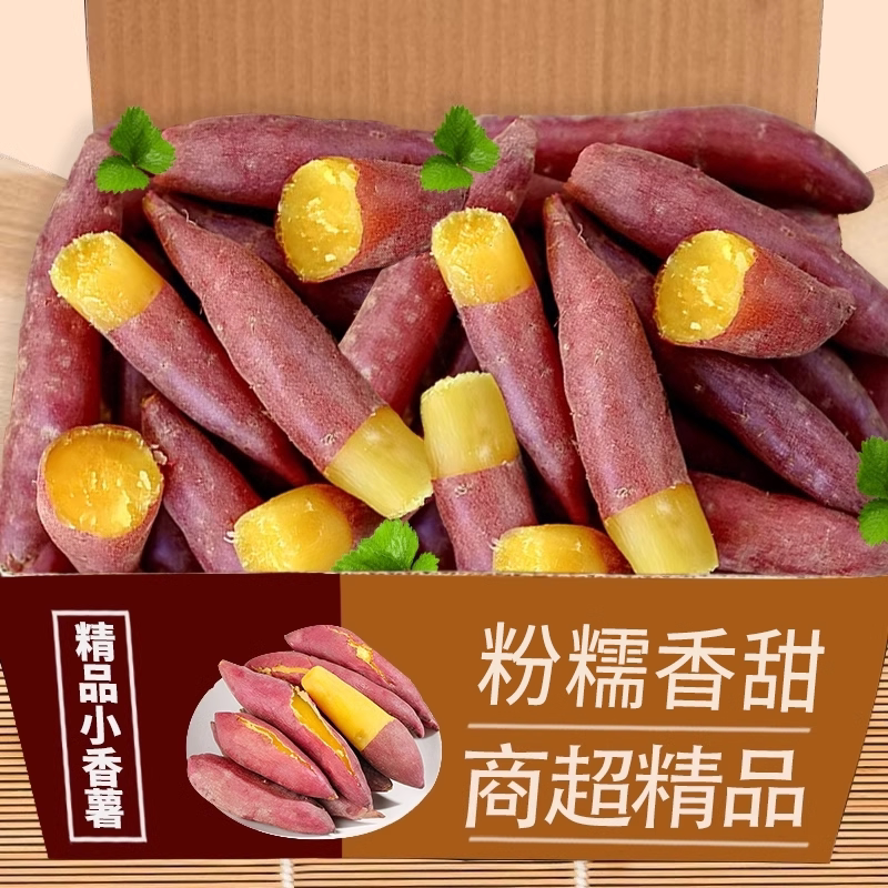 天目山小香薯板栗红薯新