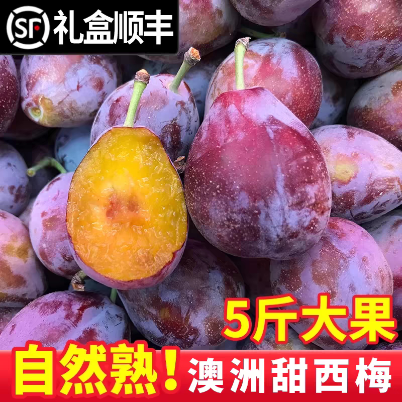 新鲜西梅5斤智利进口鲜果