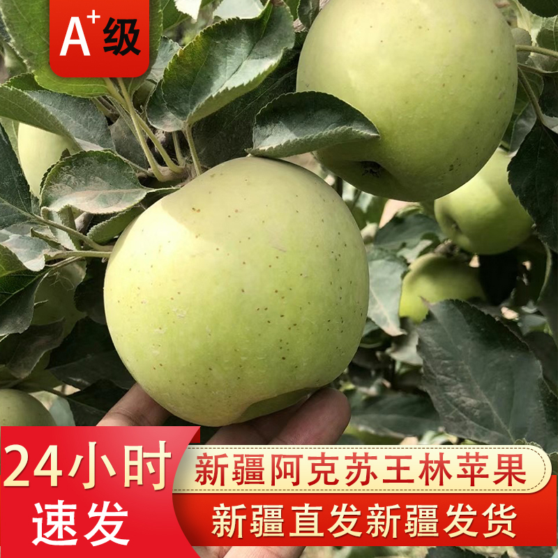 新疆阿克苏王林苹果正宗青森水蜜桃奶油青苹果当季新鲜水果雀斑