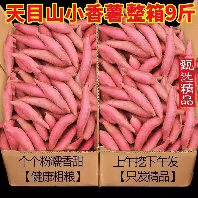 天目山小香薯5斤临安产地